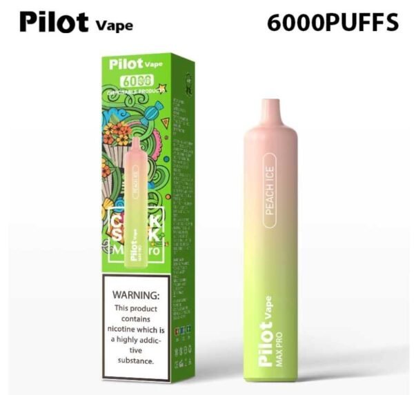 Pilot vape6000puffs 飛行員拋棄式電子煙官網 - Image 7