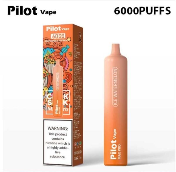 Pilot vape6000puffs 飛行員拋棄式電子煙官網 - Image 8